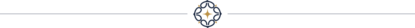 vector